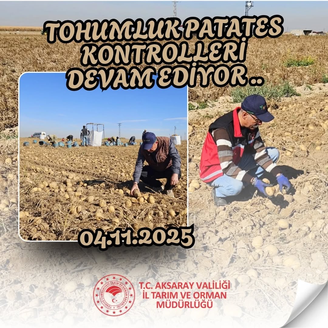 Aksaray'da Tohumluk Patates Üretim Alanları Denetleniyor