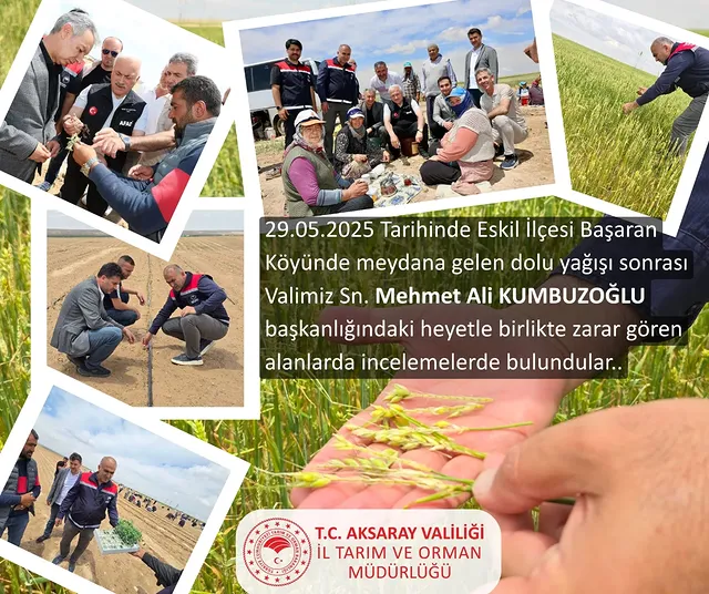 Aksaray'da Dolu Yağışı Tarım Alanlarını Etkiledi