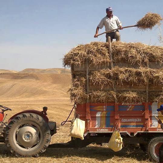 AK Partili Aydoğdu: 
