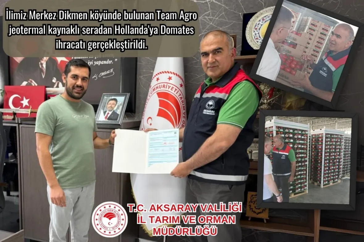 Aksaray'dan Hollanda'ya Domates İhracatı Gerçekleşti