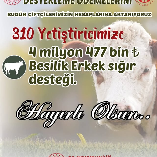 Aksaray'da Besilik Erkek Sığır Desteği Çiftçilere Yatırıldı
