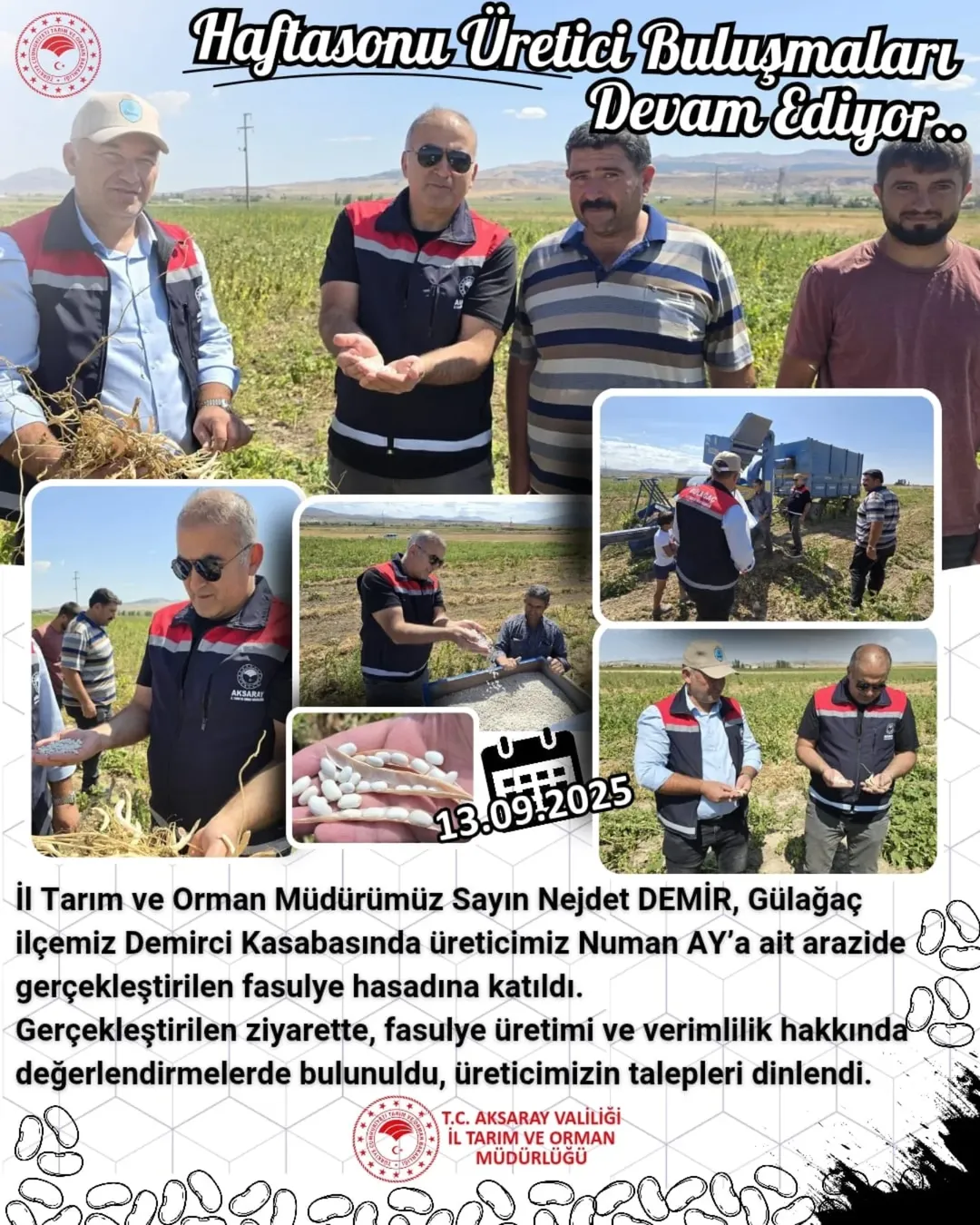 Aksaray'da Fasulye Hasadına Tarım İl Müdürü'nden Ziyaret