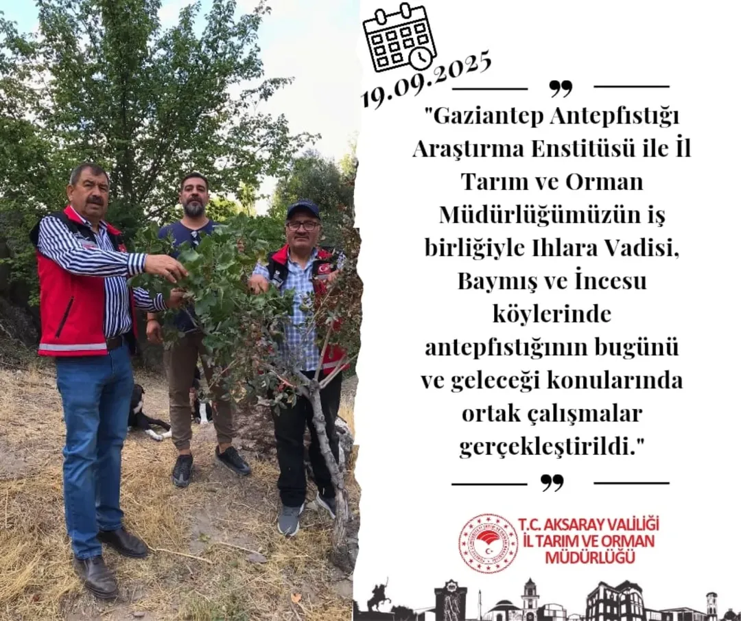 Aksaray'da Antepfıstığı Üretimi İçin İş Birliği Çalışmaları Başladı