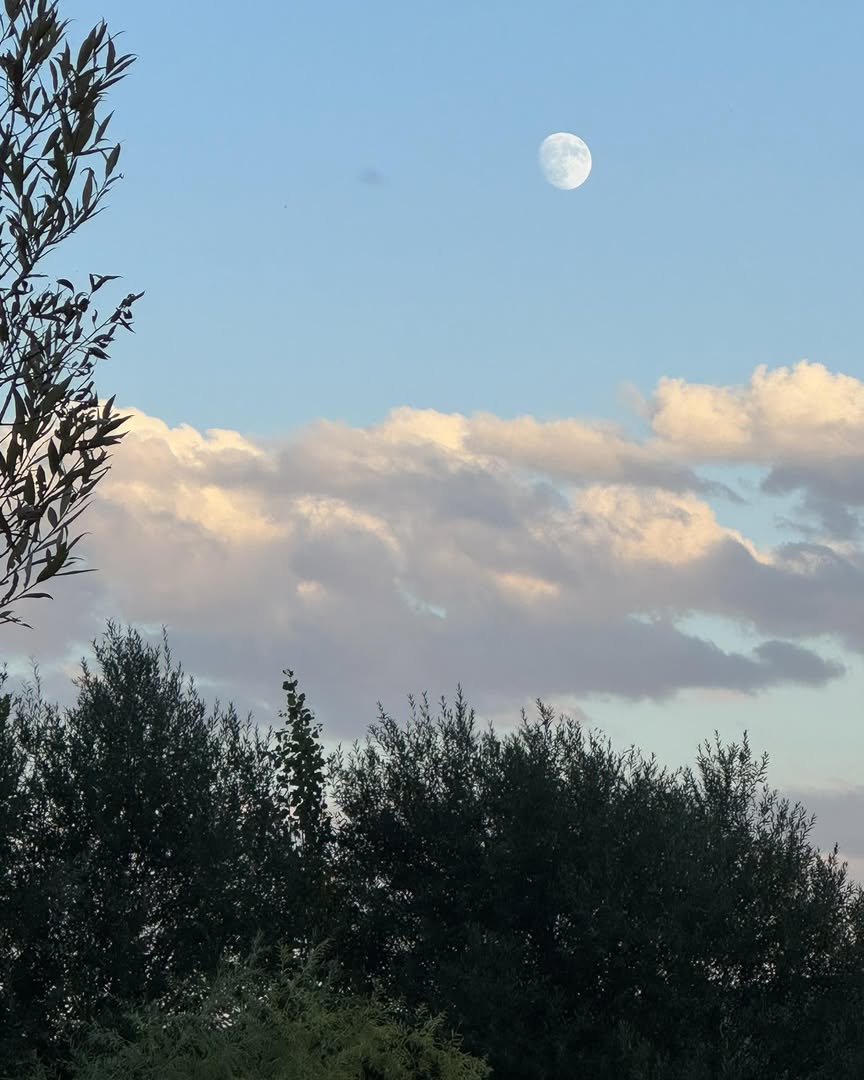 Cengiz Aydoğdu, Ahmet Haşim'in Mısralarıyla Meclis'te Duygu Dolu Anlar Yaşattı