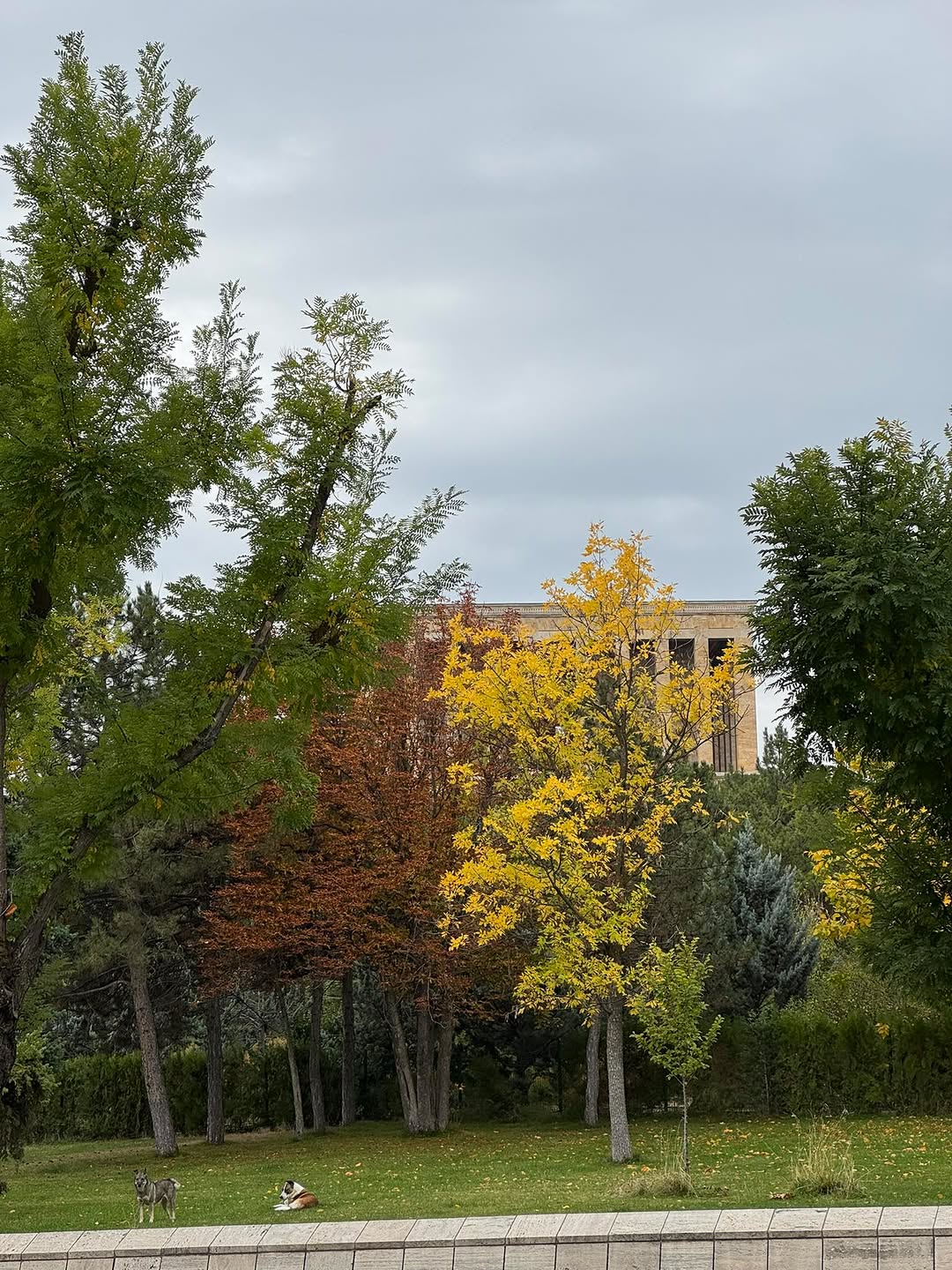 Aksaray Milletvekili Cengiz Aydoğdu, Yağmur İçin Dua Etti