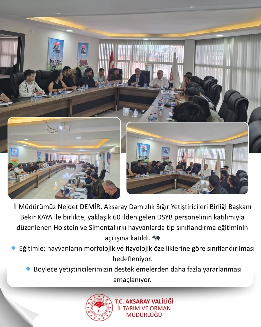 Aksaray'da Holstein ve Simental Irkı Hayvanlar İçin Tip Sınıflandırma Eğitimi Düzenlendi