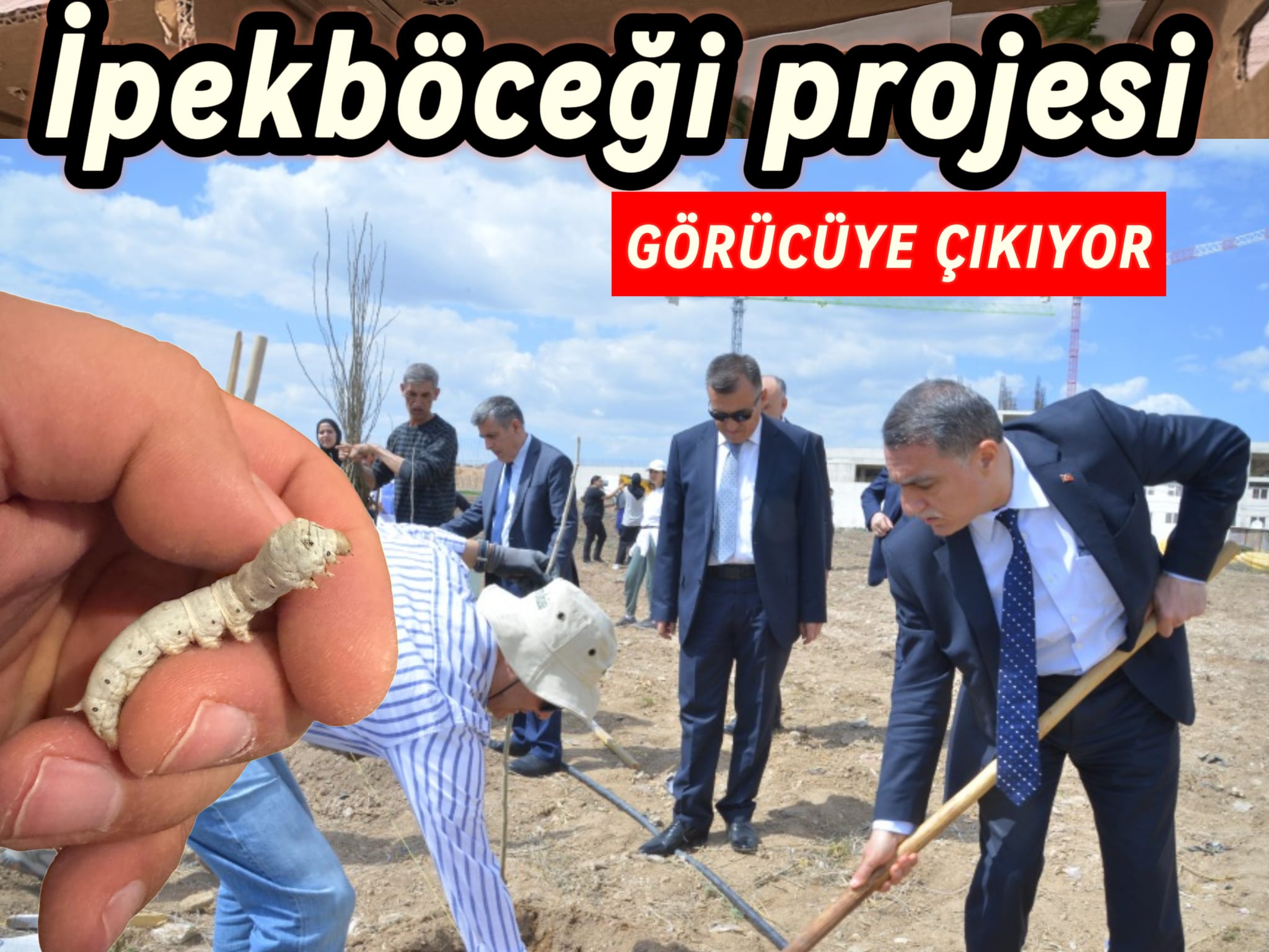Kırşehir'de İpek Üretimi Canlanıyor: Ahi Tarımsal İpekböceği Projesi Bilim Şenliği'nde Tanıtılacak