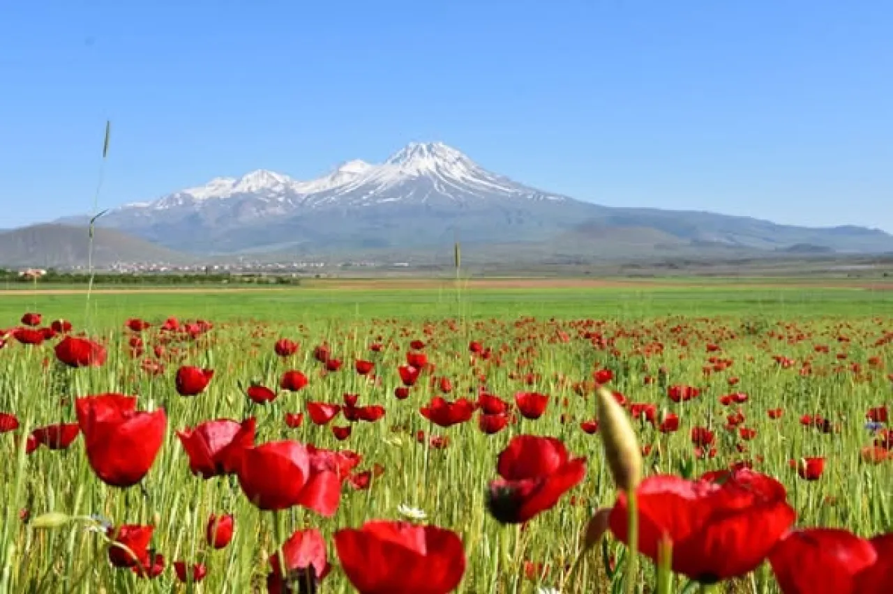 Aksaray Belediye Başkanı Dr. Evren Dinçer, Hemşerilerine Bereket Diliyor