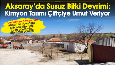 Aksaray'da Su Kaynaklarının Azalmasıyla Kimyon Tarımına Yönelim