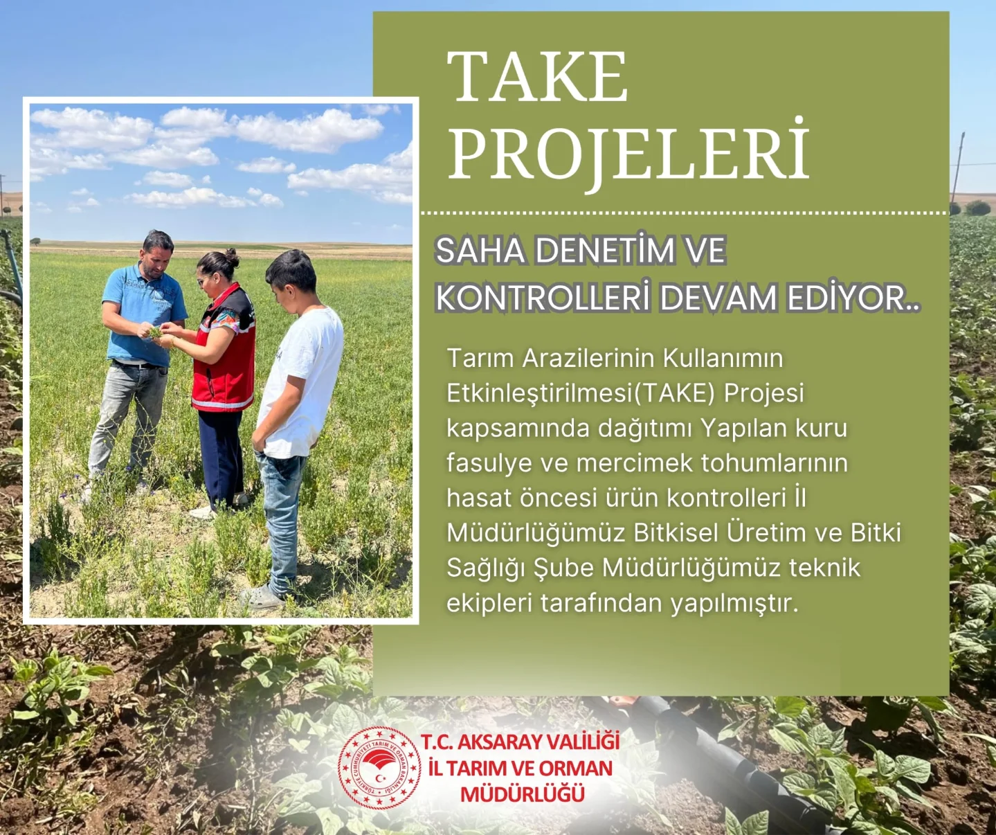 Aksaray Tarım İl Müdürü Nejdet Demir Saha Denetimlerinde