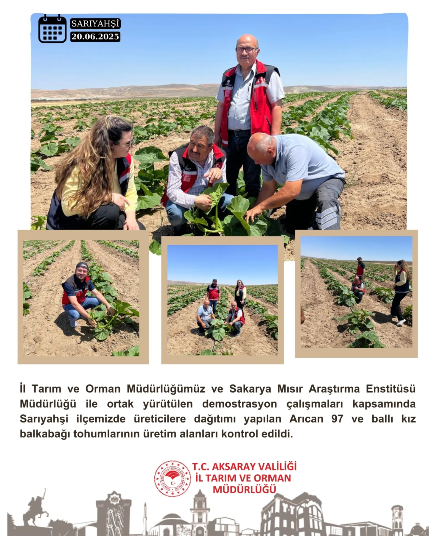Aksaray'da Arıcan 97 ve Ballı Kız Balkabağı Tohumları Üreticilere Ulaştırıldı