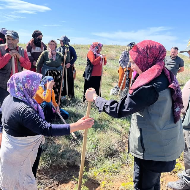 Aksaray'da 197 Bin Fidana Bakım Çalışması