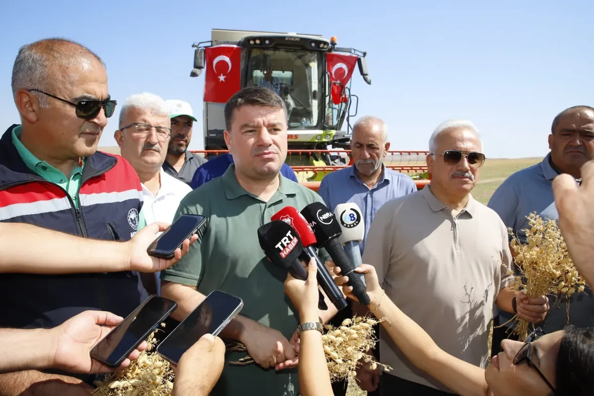 Aksaray'da 500 Dönümlük Nohut Hasadıyla Binlerce Aileye Destek