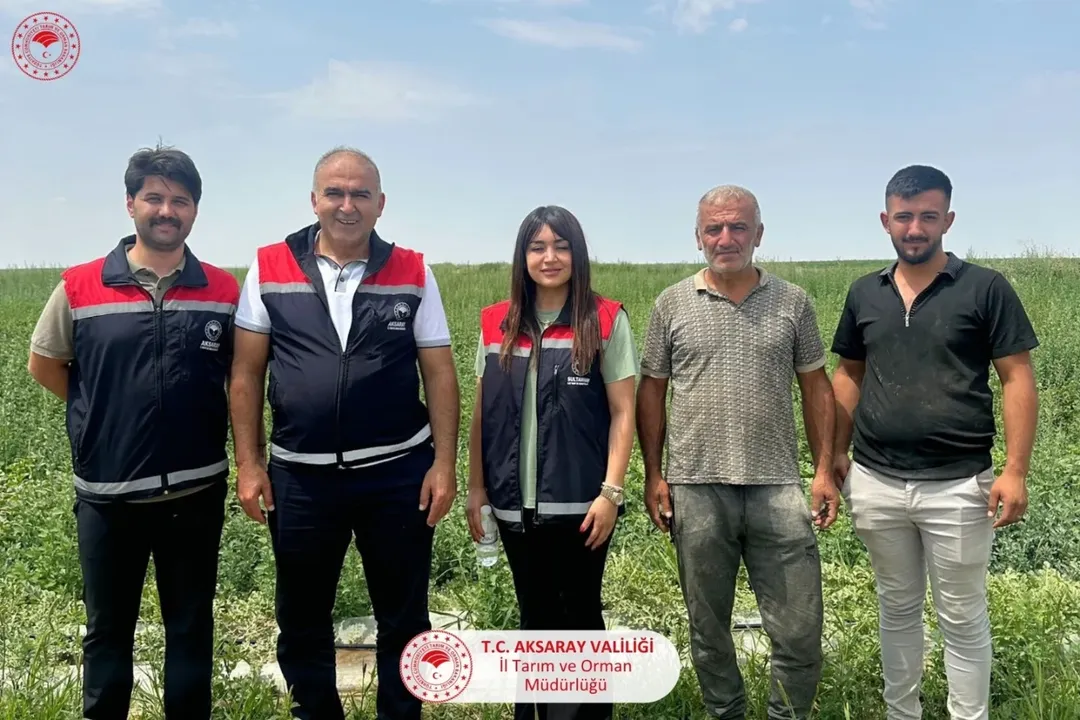 Aksaray'da Kavun ve Karpuz Tarlalarında İnceleme: Üreticilere Destek Sürecek