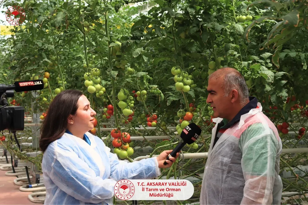 Aksaray'da Jeotermal Sera Tarımı Potansiyeli Vurgulandı