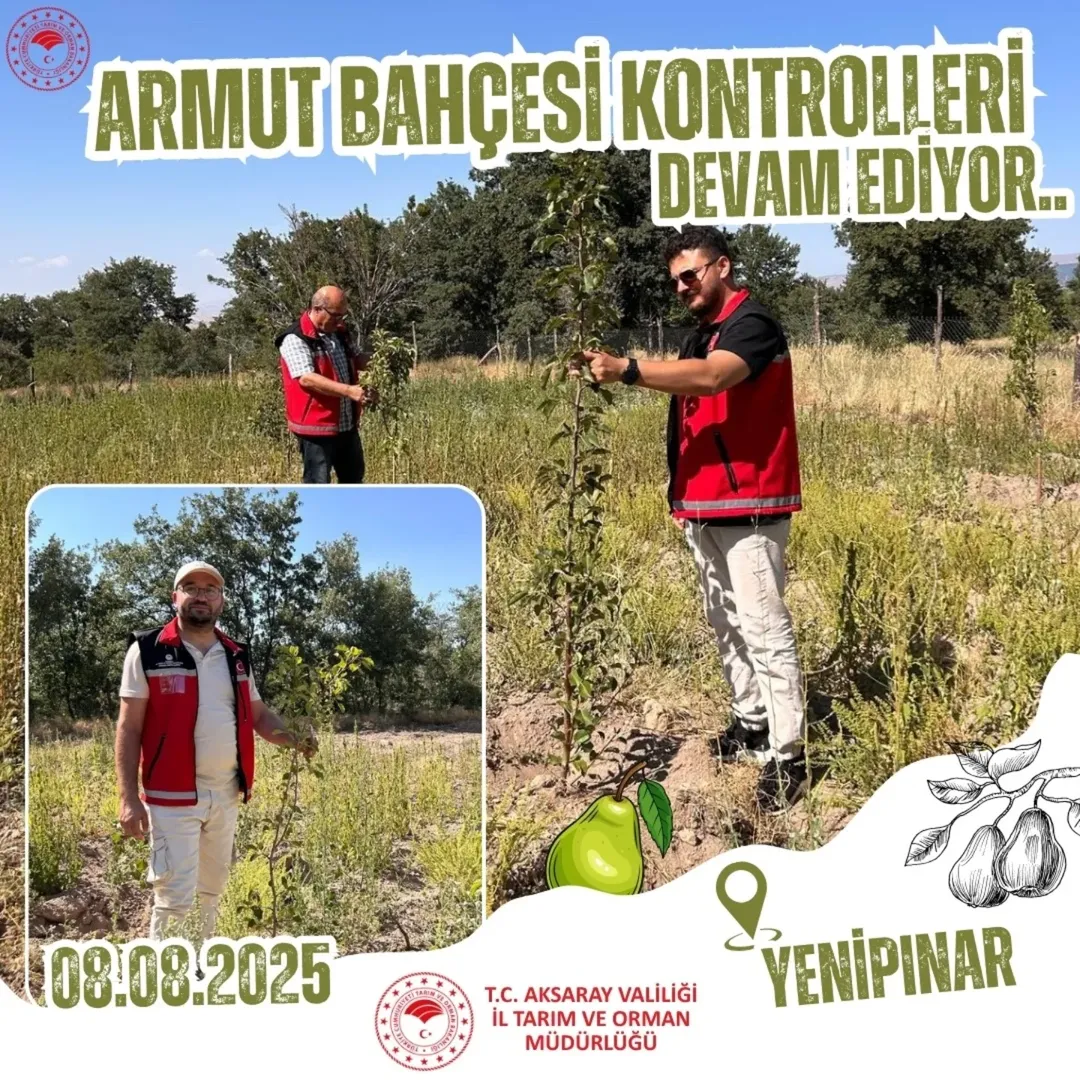 Aksaray'da Armut Fidanları Kontrolden Geçti: Üreticiler Umutlu