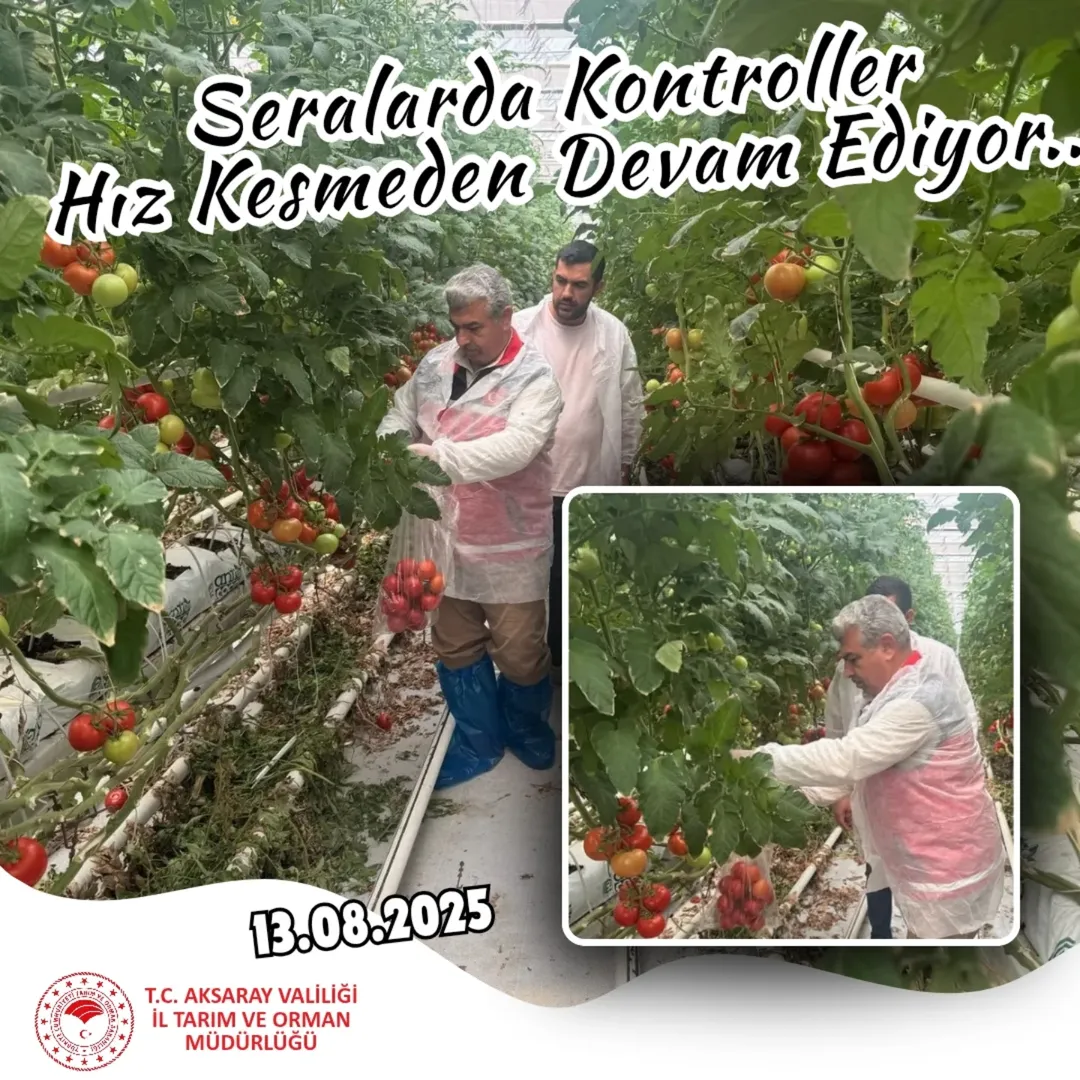 Aksaray'da Sera Ürünlerinde Pestisit Analizi Başlatıldı