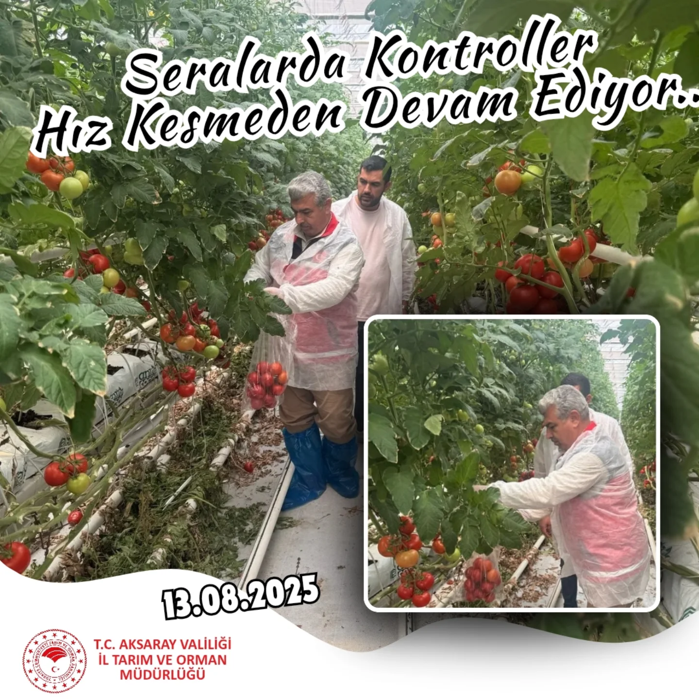 Aksaray'da Sera Ürünlerinde Pestisit Kalıntı Analizi Yapılıyor