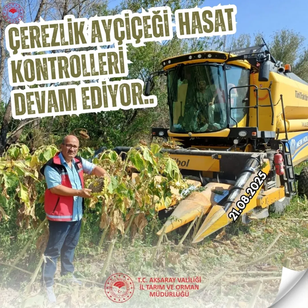 Aksaray'da Çerezlik Ayçiçeği Hasadı Kontrol Ediliyor