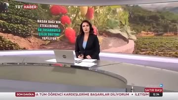 Aksaray'da Çilek Yetiştiriciliği Coşuyor: Doğanın Çilli Çocukları Aksaray'da Tadını Düşürenleri Sevindiriyor