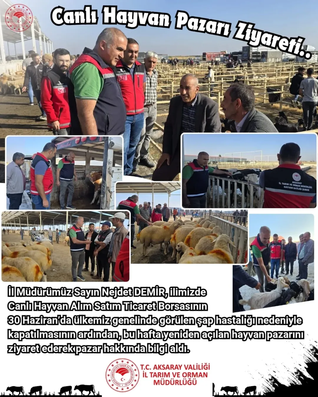 Aksaray'da Hayvan Pazarı Yeniden Açıldı