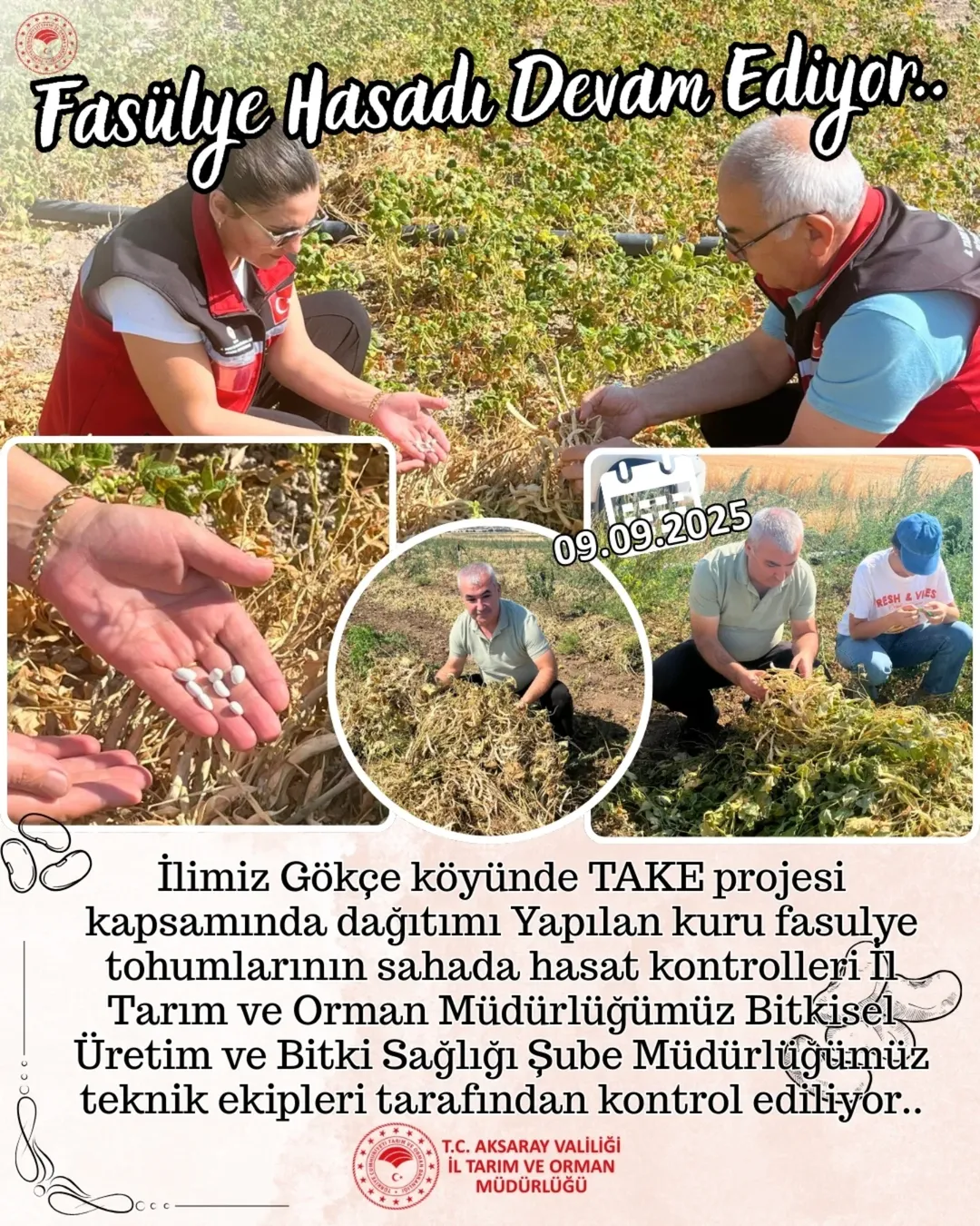 Aksaray'da TAKE Projesi Hasat Kontrolleri Başladı