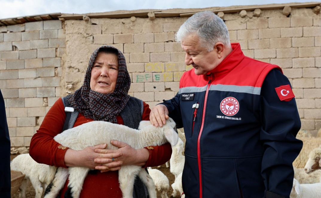 Aksaray’da küçükbaş hayvancılığa önemli destek sağlayacak proje başlıyor