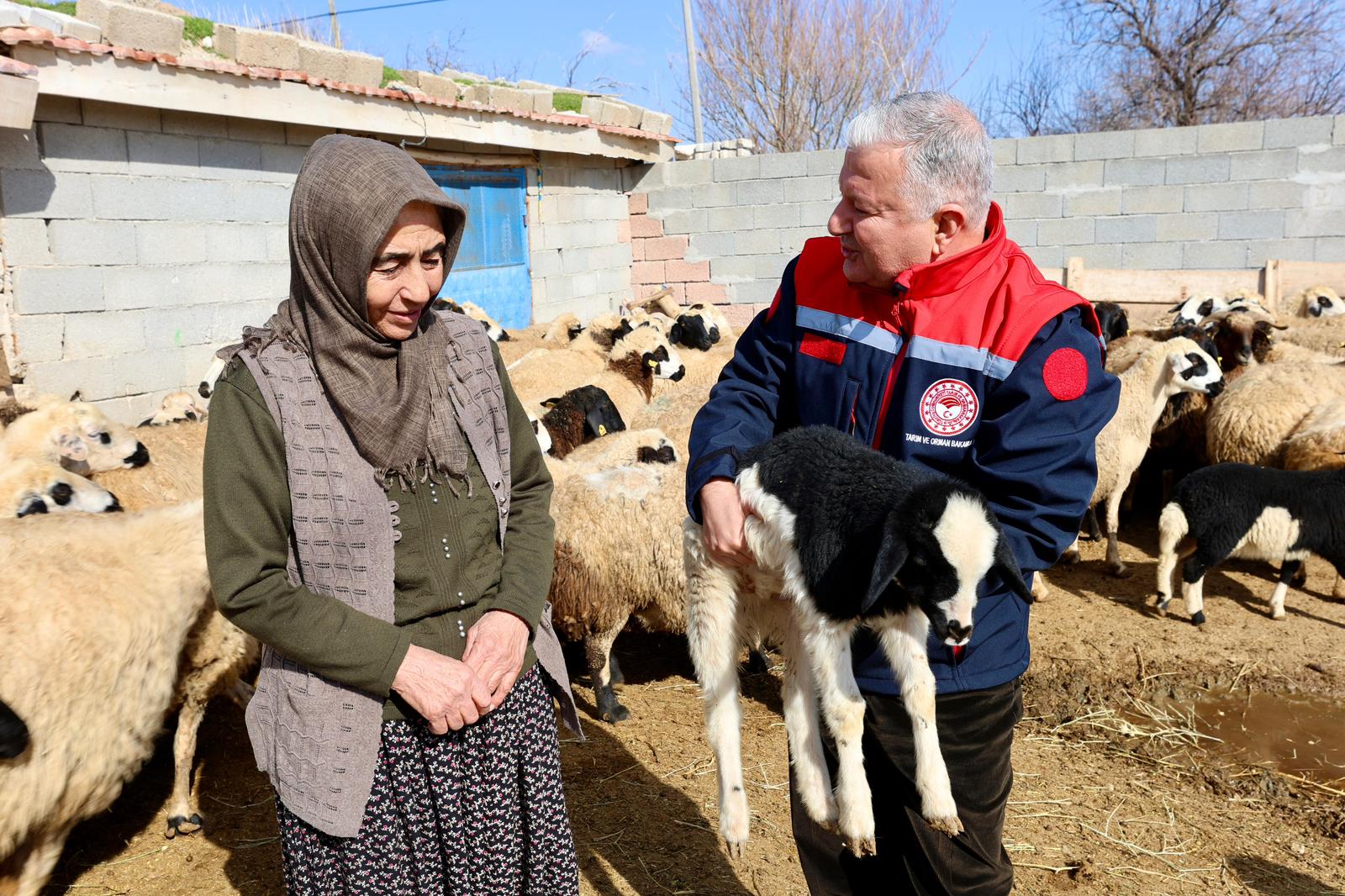 Çobanlık Yaparak 4 Evladını Okuttu