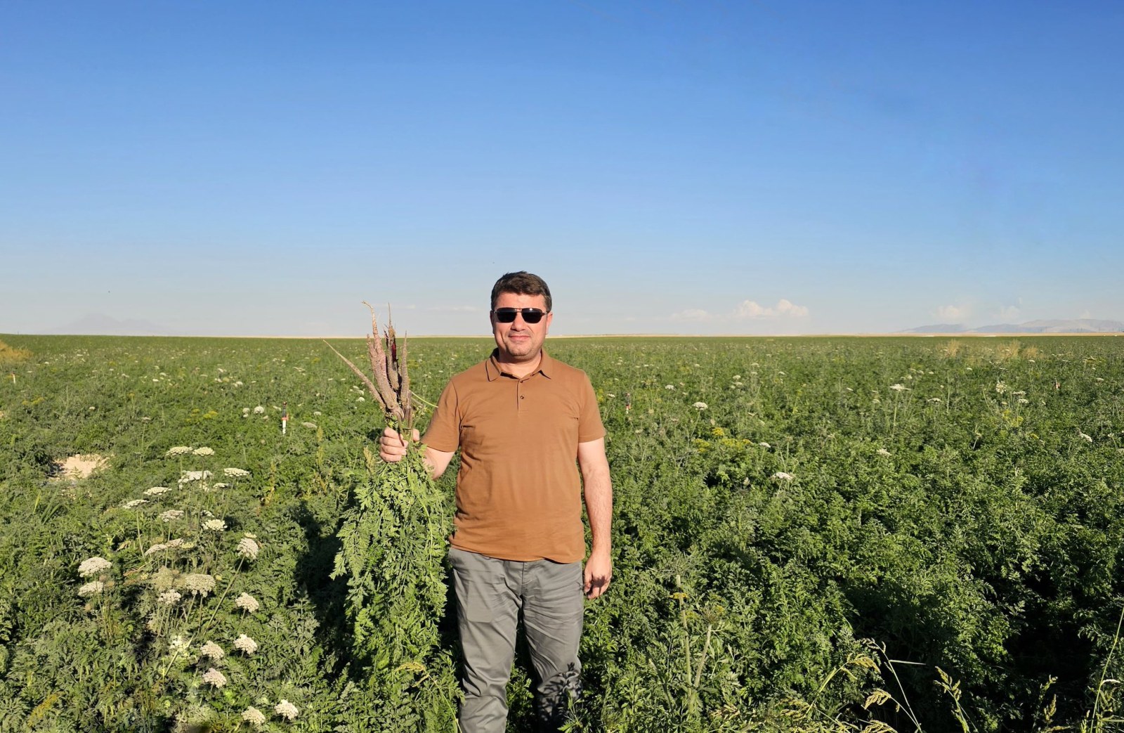 AKSARAY’IN SİYAH HAVUÇLARI DÜNYA PAZARINDA